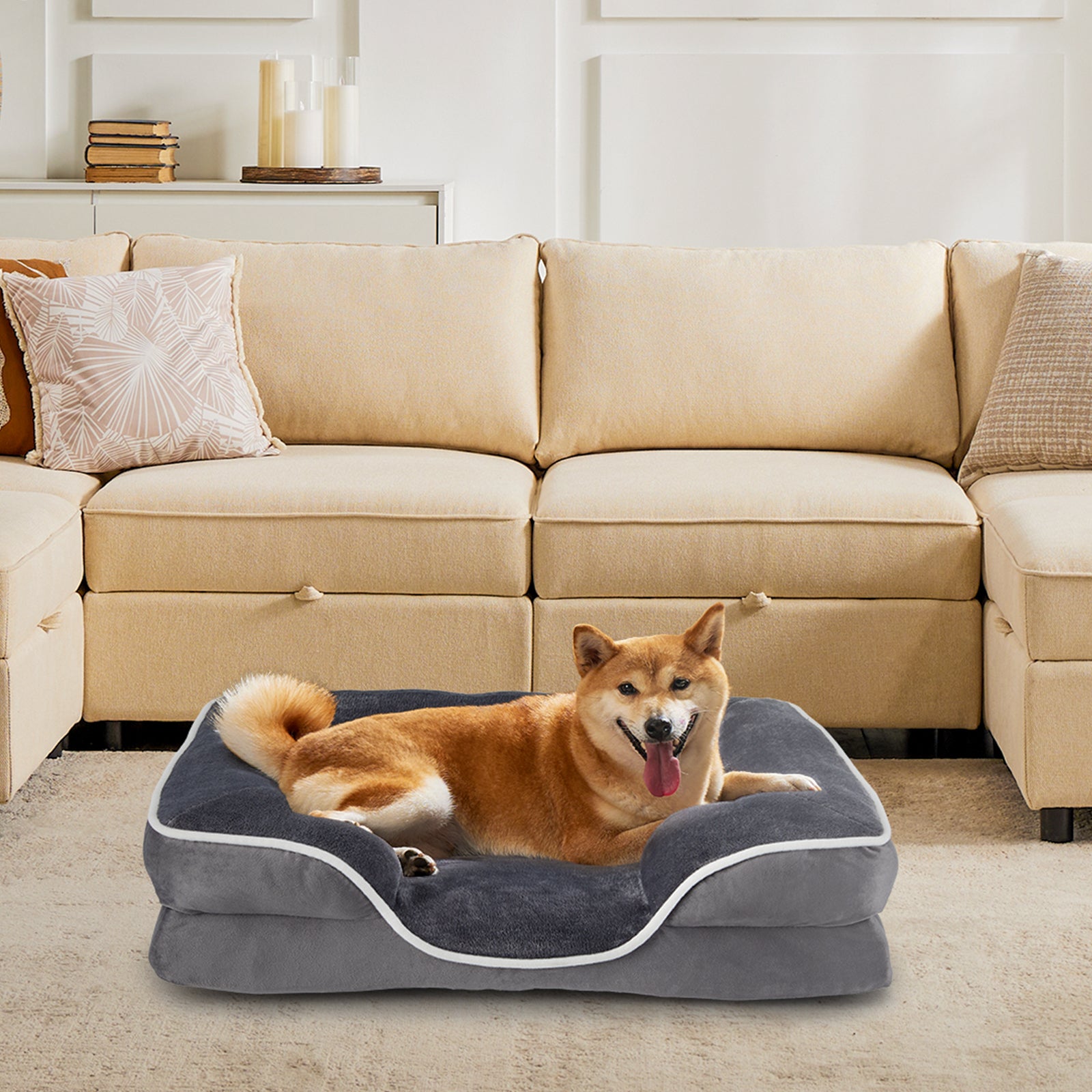 b896d72dc484e529dc5f29b095d4b27